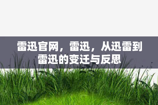 雷迅官网，雷迅，从迅雷到雷迅的变迁与反思