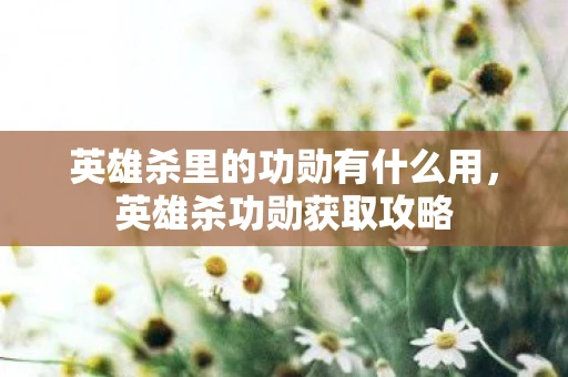 英雄杀里的功勋有什么用，英雄杀功勋获取攻略