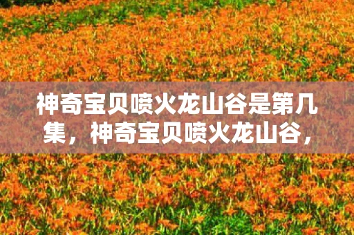 神奇宝贝喷火龙山谷是第几集，神奇宝贝喷火龙山谷，探险与奇遇的奇幻之旅