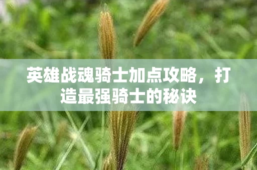 英雄战魂骑士加点攻略图片