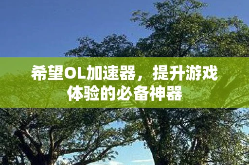 希望OL加速器，提升游戏体验的必备神器