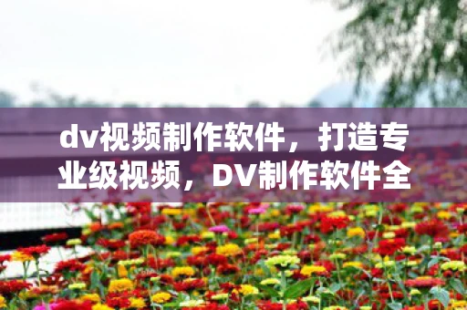 dv视频制作软件，打造专业级视频，DV制作软件全解析