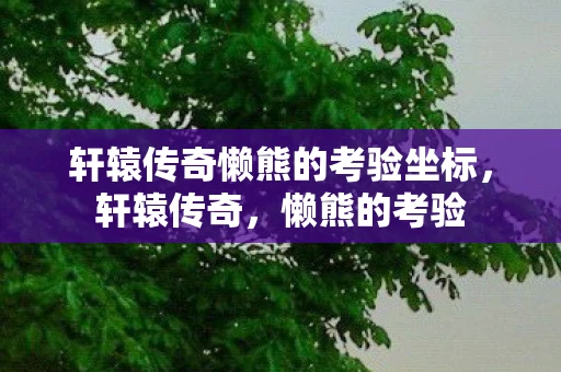 轩辕传奇懒熊的考验坐标，轩辕传奇，懒熊的考验