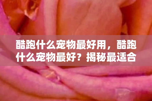 酷跑什么宠物最好用，酷跑什么宠物最好？揭秘最适合你的伴侣