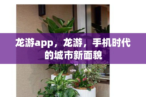 龙游app，龙游，手机时代的城市新面貌