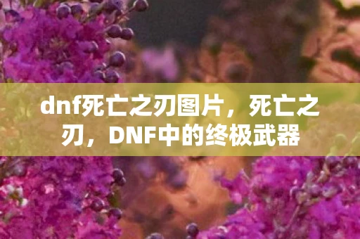 dnf死亡之刃图片，死亡之刃，DNF中的终极武器