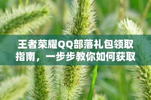 王者荣耀QQ部落礼包领取指南图片
