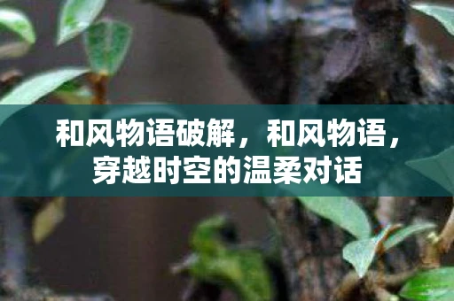 和风物语破解,和风物语,穿越时空的温柔对话 和风物语破解,和风物语,穿越时空的温柔对话