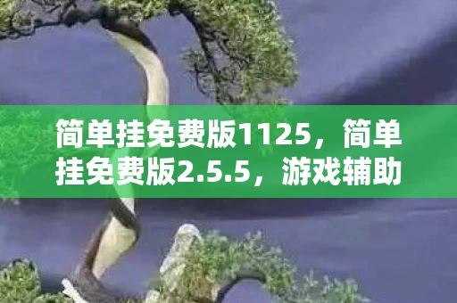 简单挂免费版1125，简单挂免费版2.5.5，游戏辅助工具的革新与争议
