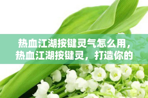 热血江湖按键灵气怎么用，热血江湖按键灵，打造你的专属游戏神器