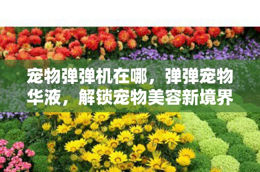 宠物弹弹机在哪，弹弹宠物华液，解锁宠物美容新境界