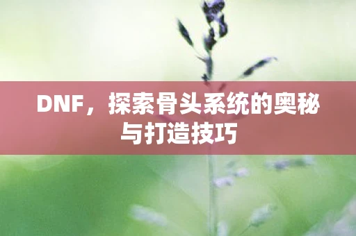 DNF，探索骨头系统的奥秘与打造技巧