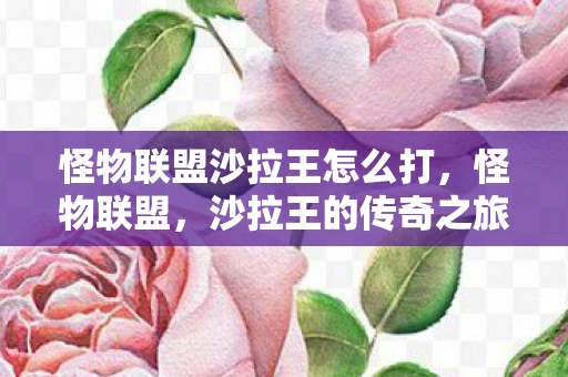 怪物联盟沙拉王怎么打，怪物联盟，沙拉王的传奇之旅