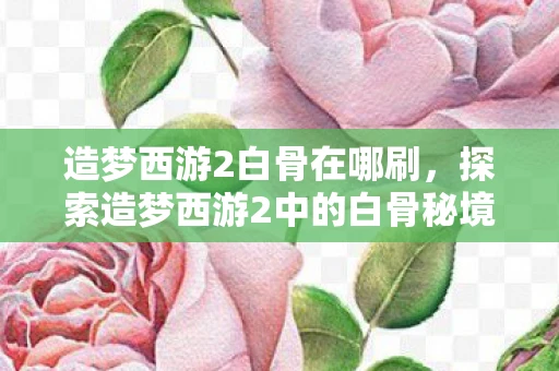 造梦西游2白骨在哪刷，探索造梦西游2中的白骨秘境，解锁未知的挑战与宝藏