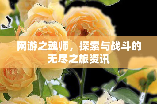 探索与战斗的无尽之旅资讯图片