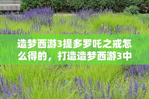 造梦西游3提多罗吒之戒怎么得的,打造造梦西游3中的提多罗吒之戒,解锁神秘装备的秘密 造梦西游3提多罗吒之戒怎么得的,打造造梦西游3中的提多罗吒之戒,解锁神秘装备的秘密