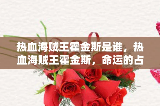 热血海贼王霍金斯是谁，热血海贼王霍金斯，命运的占卜与不屈的航海