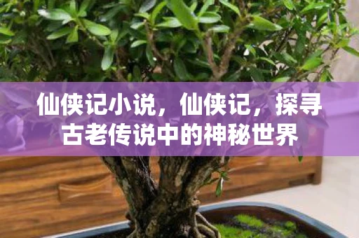 仙侠记小说,仙侠记,探寻古老传说中的神秘世界 仙侠记小说,仙侠记,探寻古老传说中的神秘世界