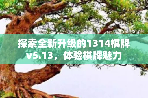 探索全新升级的1314棋牌v5图片