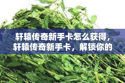 轩辕传奇新手卡怎么获得，轩辕传奇新手卡，解锁你的传奇之旅