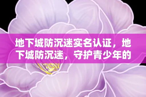 地下城防沉迷实名认证，地下城防沉迷，守护青少年的数字世界