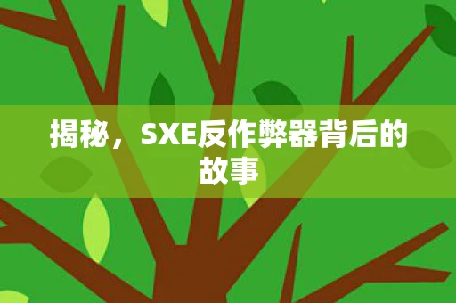 揭秘，SXE反作弊器背后的故事