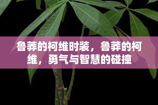 鲁莽的柯维时装，鲁莽的柯维，勇气与智慧的碰撞