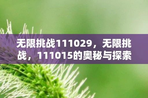无限挑战111029，无限挑战，111015的奥秘与探索