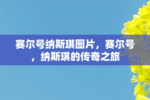 赛尔号纳斯琪图片，赛尔号，纳斯琪的传奇之旅