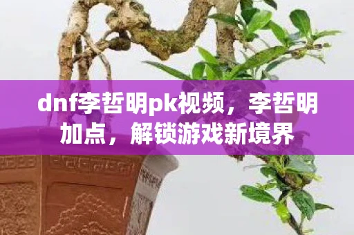 dnf李哲明pk视频，李哲明加点，解锁游戏新境界