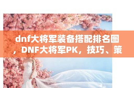 dnf大将军装备搭配排名图,DNF大将军PK,技巧、策略与实战分析 dnf大将军装备搭配排名图,DNF大将军PK,技巧、策略与实战分析