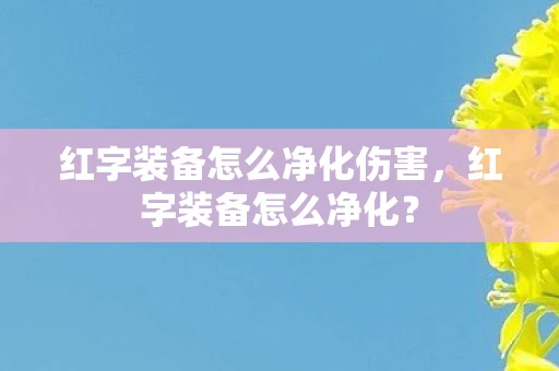 红字装备怎么净化伤害,红字装备怎么净化? 红字装备怎么净化伤害,红字装备怎么净化?