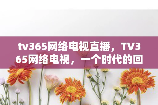 tv365网络电视直播,TV365网络电视,一个时代的回忆与变迁 tv365网络电视直播,TV365网络电视,一个时代的回忆与变迁