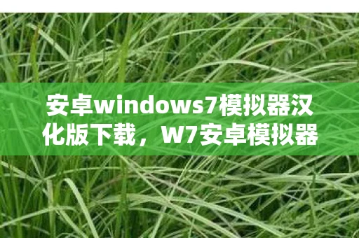 安卓windows7模拟器汉化版下载，W7安卓模拟器中文版，打造高效移动应用体验