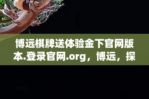 博远棋牌送体验金下官网版本.登录官网.org,博远,探索无限可能的旅程 博远棋牌送体验金下官网版本.登录官网.org,博远,探索无限可能的旅程