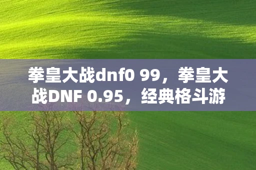 拳皇大战dnf0 99,拳皇大战DNF 0.95,经典格斗游戏的碰撞与融合 拳皇大战dnf0 99,拳皇大战DNF 0.95,经典格斗游戏的碰撞与融合