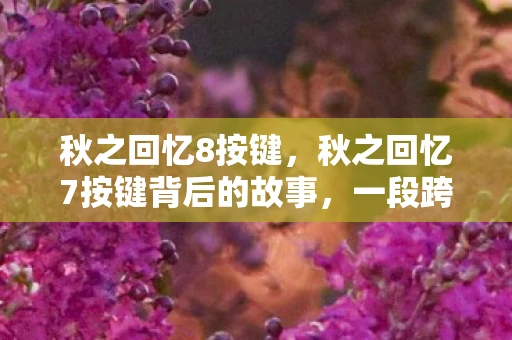秋之回忆8按键，秋之回忆7按键背后的故事，一段跨越时空的情感纽带