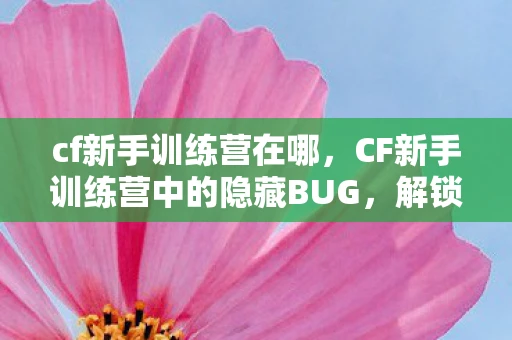 cf新手训练营在哪，CF新手训练营中的隐藏BUG，解锁高效游戏技巧