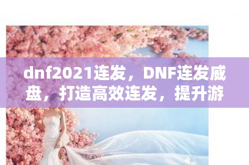 dnf2021连发，DNF连发威盘，打造高效连发，提升游戏操作体验