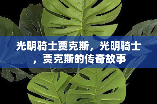 光明骑士贾克斯，光明骑士，贾克斯的传奇故事