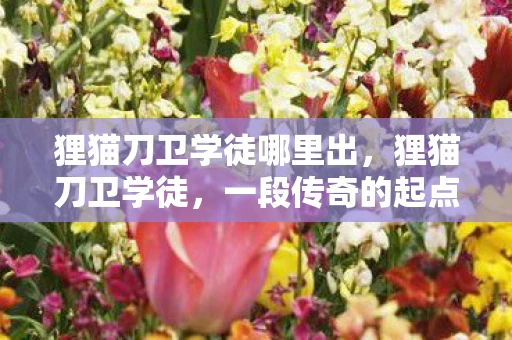 狸猫刀卫学徒哪里出,狸猫刀卫学徒,一段传奇的起点 狸猫刀卫学徒哪里出,狸猫刀卫学徒,一段传奇的起点