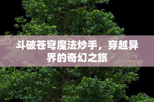 穿越异界的奇幻之旅图片