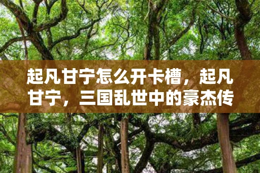 起凡甘宁怎么开卡槽，起凡甘宁，三国乱世中的豪杰传奇