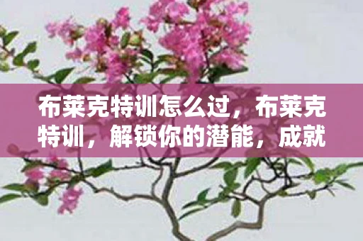 布莱克特训怎么过,布莱克特训,解锁你的潜能,成就非凡自我 布莱克特训怎么过,布莱克特训,解锁你的潜能,成就非凡自我