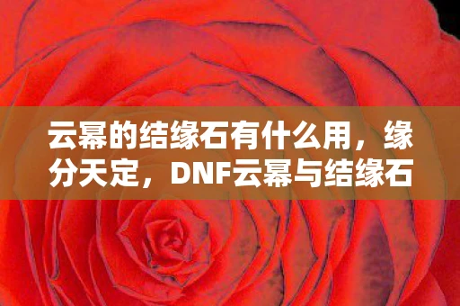 云幂的结缘石有什么用，缘分天定，DNF云幂与结缘石的奇妙之旅