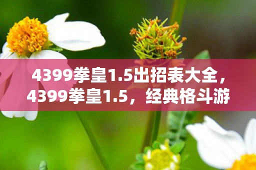 4399拳皇1.5出招表大全，4399拳皇1.5，经典格斗游戏的传承与革新