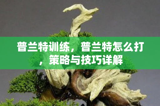 普兰特训练，普兰特怎么打，策略与技巧详解