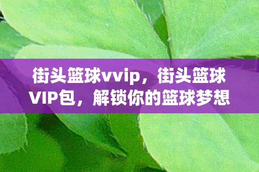 街头篮球vvip,街头篮球VIP包,解锁你的篮球梦想 街头篮球vvip,街头篮球VIP包,解锁你的篮球梦想