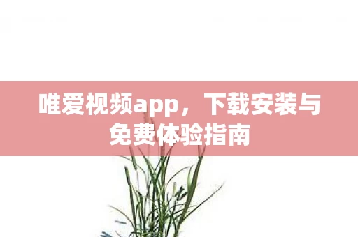 下载安装与免费体验指南图片