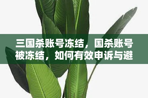 三国杀账号冻结，国杀账号被冻结，如何有效申诉与避免再次发生